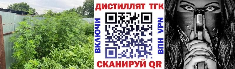 Дистиллят ТГК концентрат  где купить наркоту  Спасск-Рязанский 